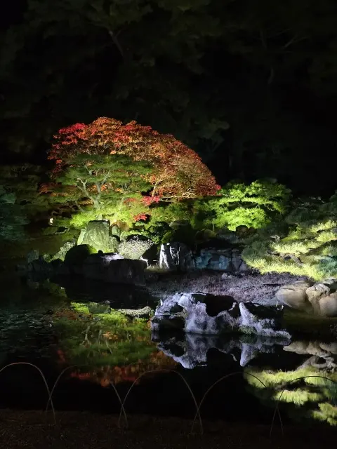 栗林公園ライトアップの画像_11