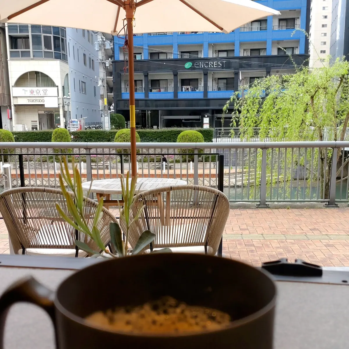 福岡　飛行機　富士山　スカイマーク　福岡グルメ　ひらお　天ぷら　笹舟　たつみ寿司