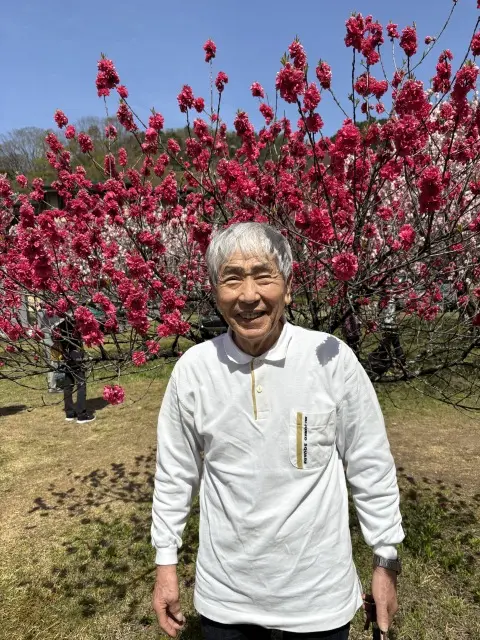 【見頃を迎える花桃の里へ 父と母の思い出の画像_7