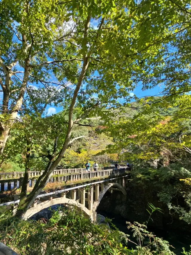 秋の京都ひとり旅・中編 ～瑠璃光院から詩の画像_3