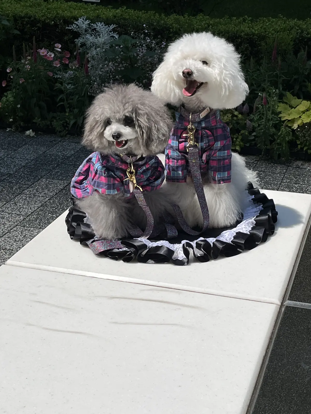 1人時間を楽しむ。銀座＆紀尾井町編その②の画像_3