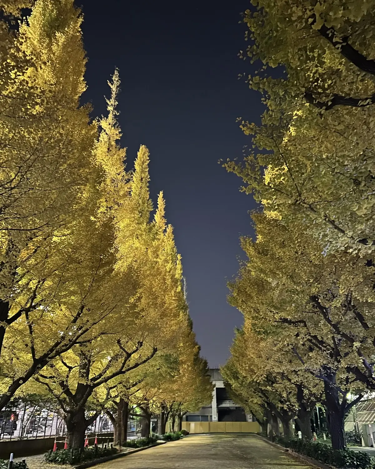 【UNIQLOデニムシャツ×スキニーパンの画像_8