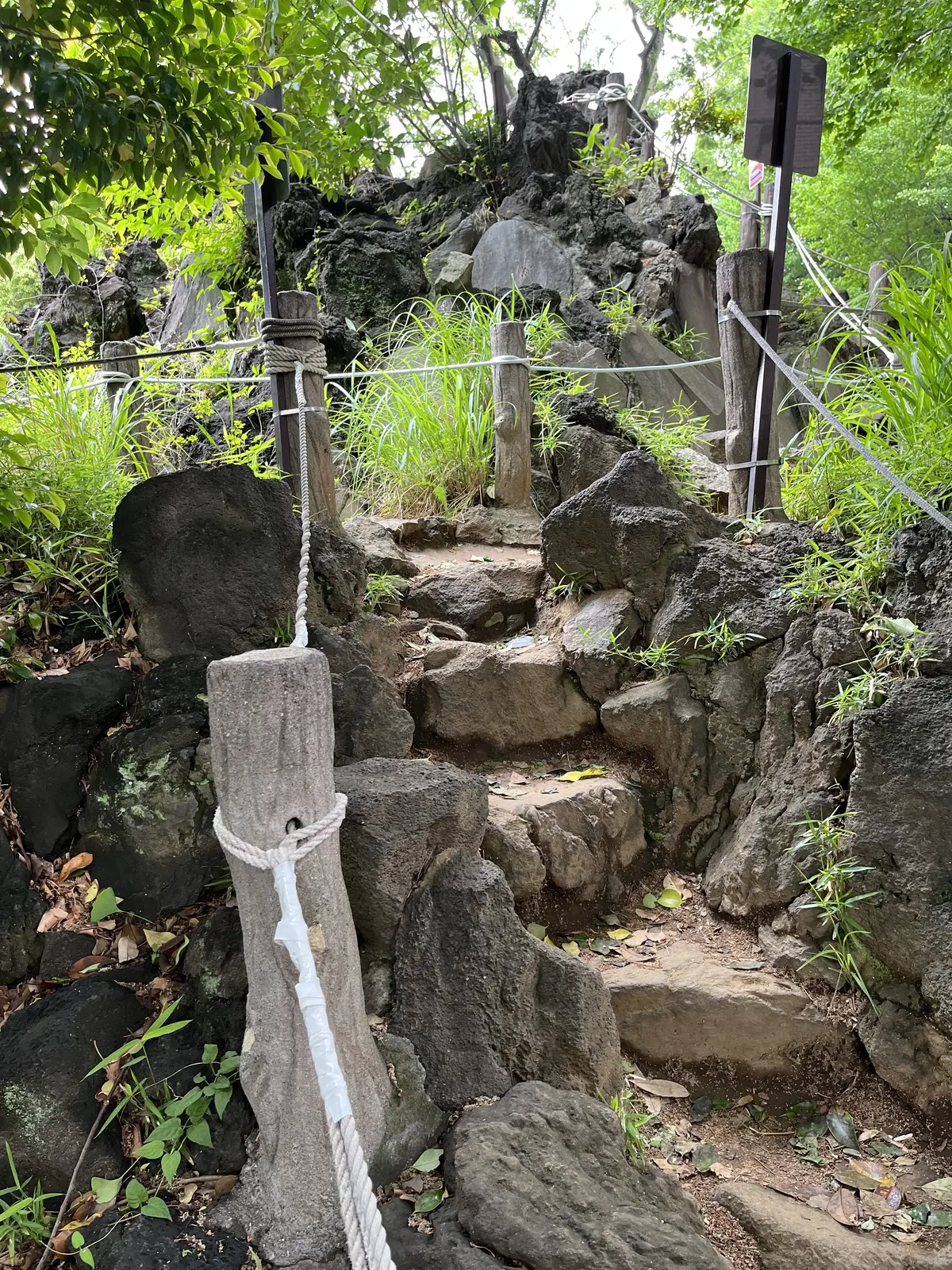 目白から千駄ヶ谷・新宿への画像_14