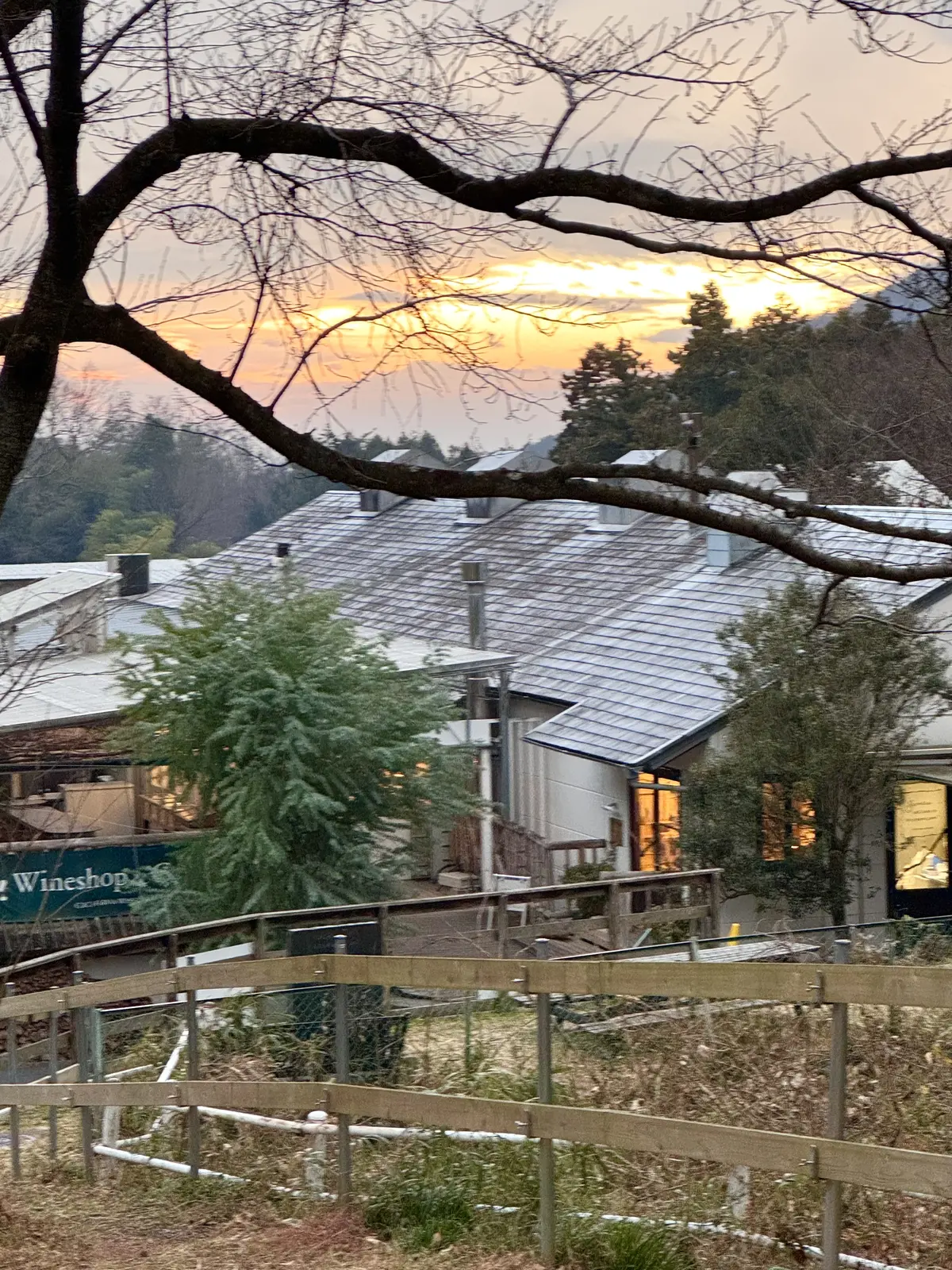 時間に追われない休日にココファームワイナの画像_10