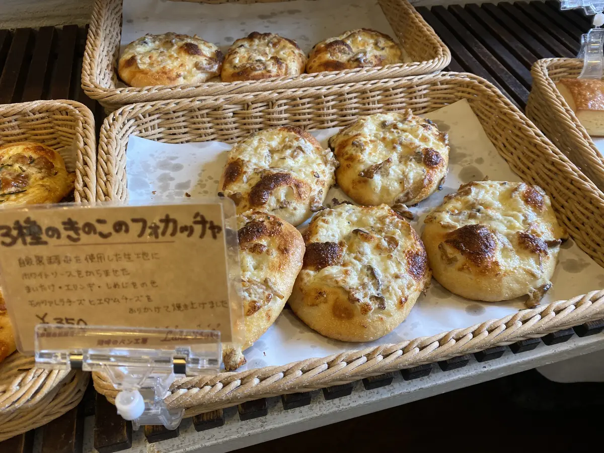 レイク　ベイク