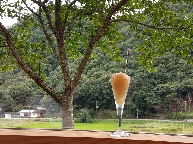 大人の夏休み②　おにぎり食べませんか？の画像_8