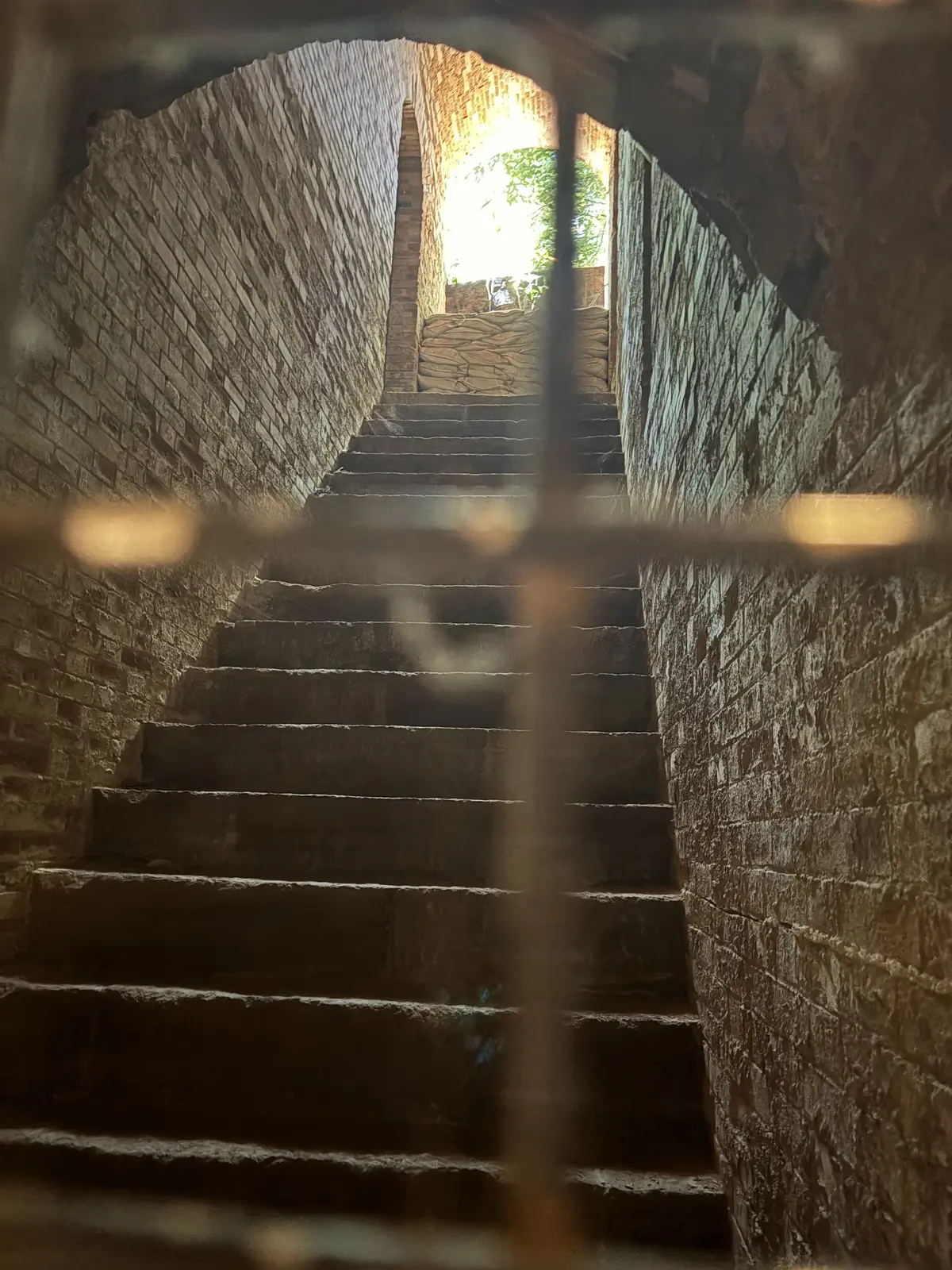 東京湾の無人島　猿島　横須賀　自然島　レンガのトンネル