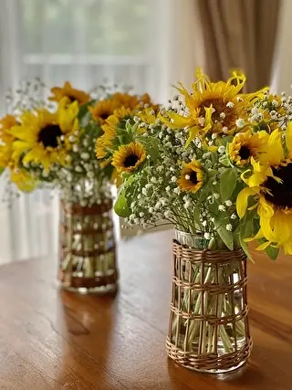 新しいひまわりちゃん！