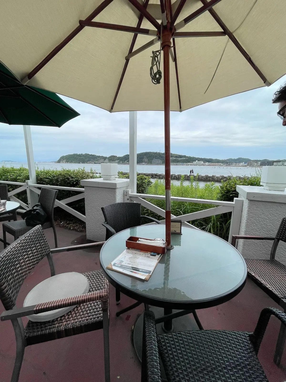 東京湾を渡る30分の船旅。愛犬と久里浜港の画像_1