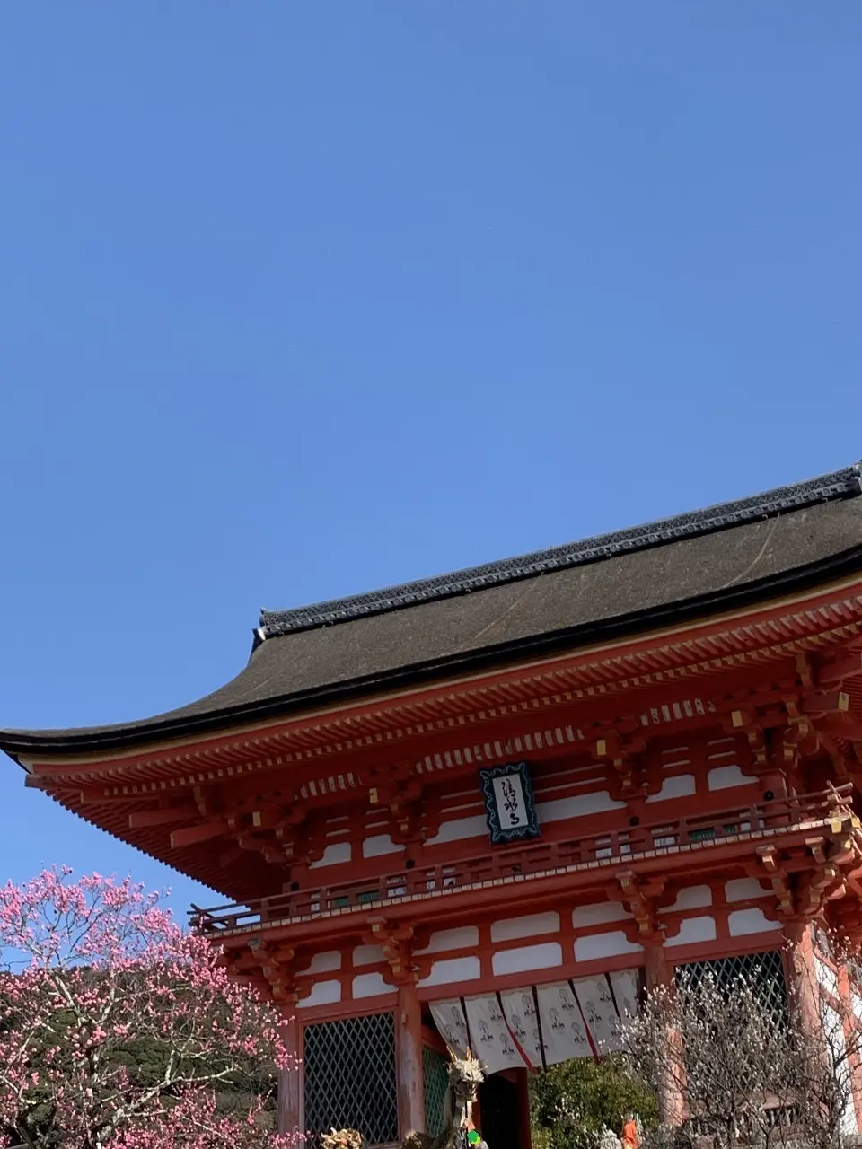 娘と春の日帰り京都旅の画像_1