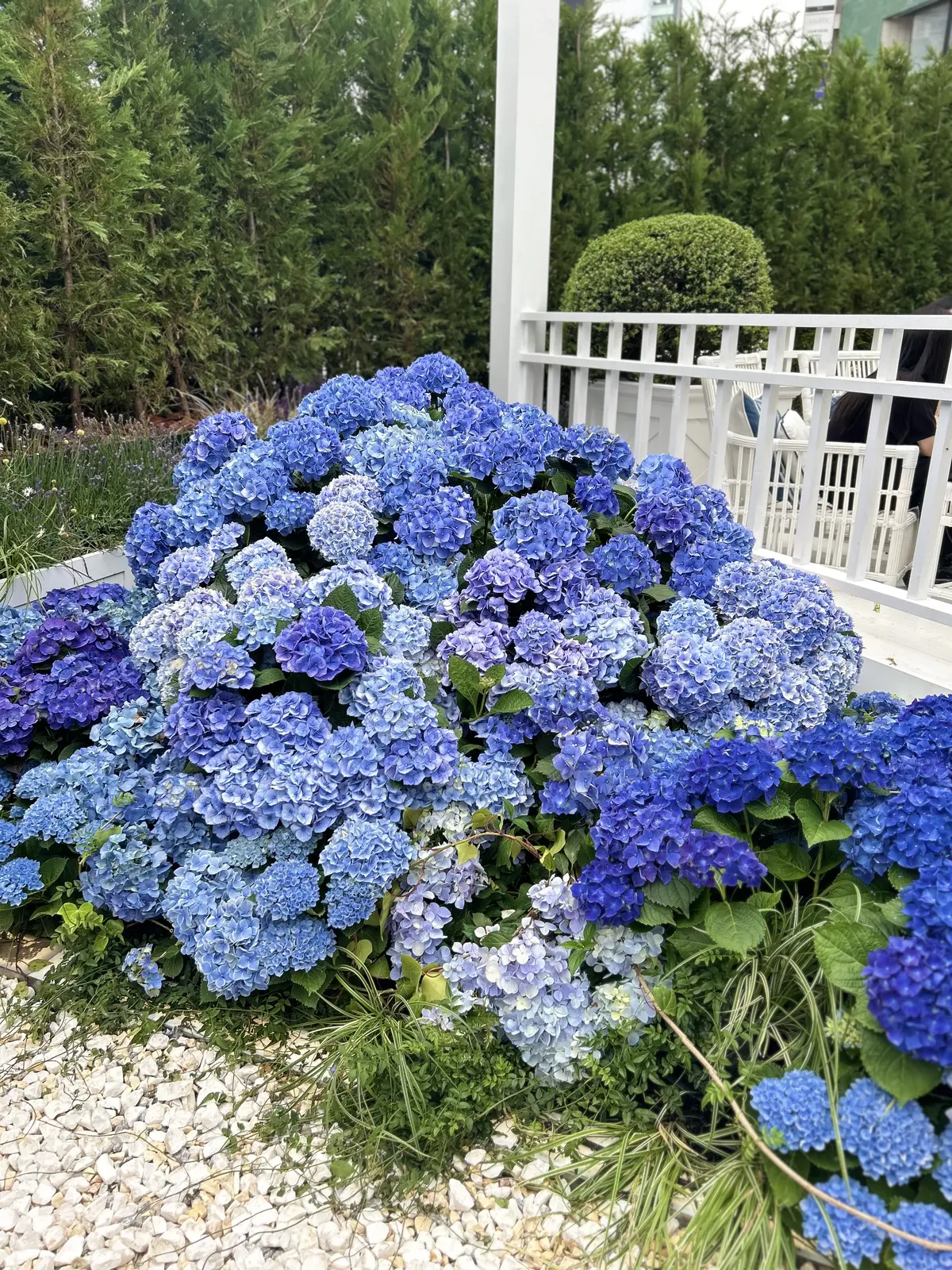 ラルフローレンのPOPUPでオリジナルチの画像_4