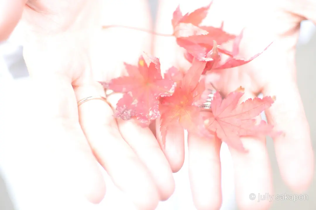 【さかぽんの冒険】フライング紅葉狩り@北の画像_22