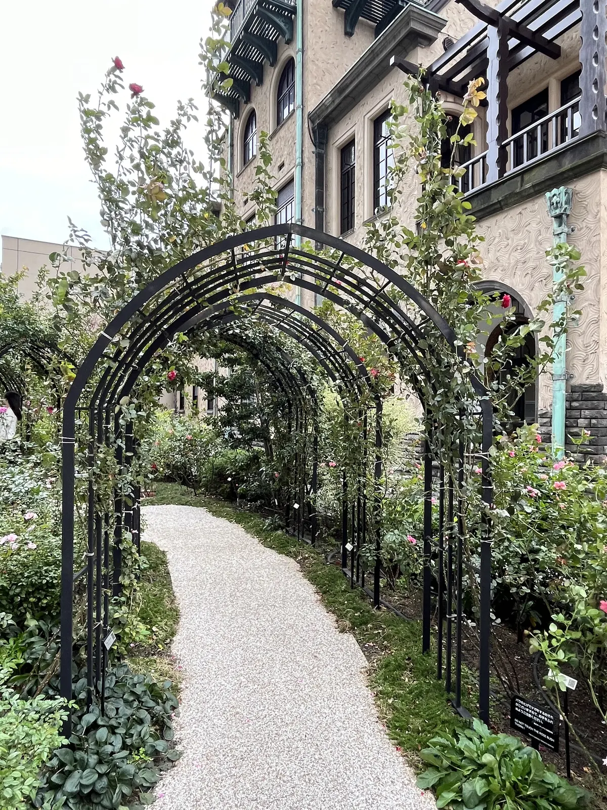 バラとアフタヌーンティーを楽しみにお気にの画像_7