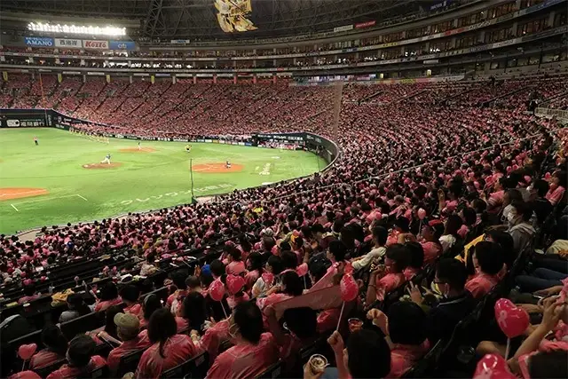 【野球はエンタメだ！まとめ】アラフィーでの画像_27