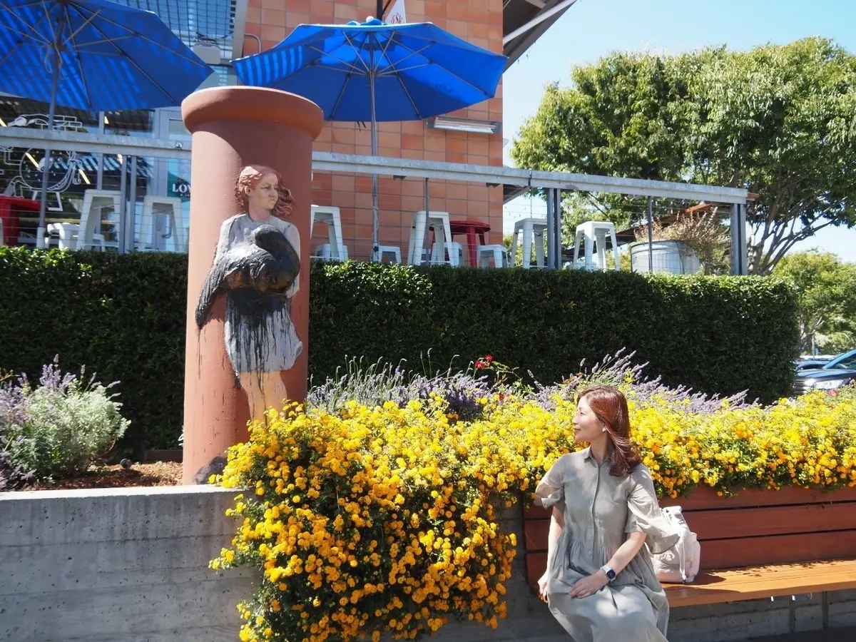 30年の時を経て…　San Franciの画像_3