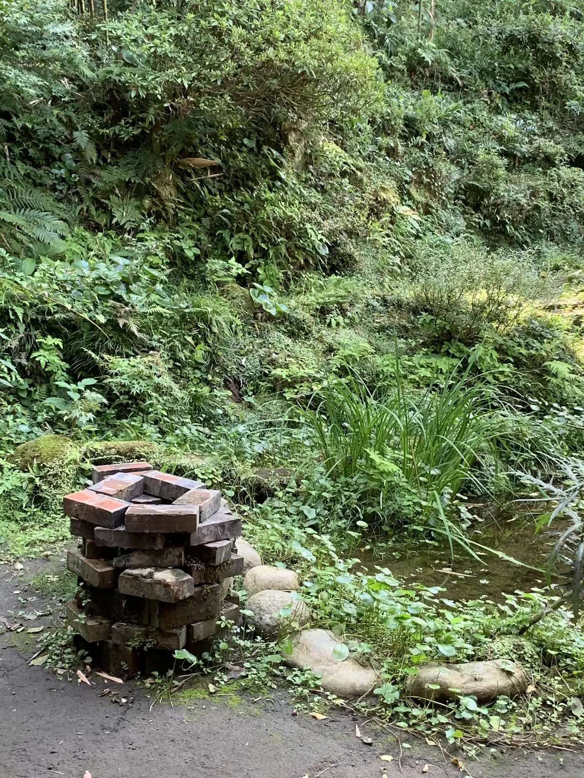 イザヤタイムアンドスペース　鎌倉カフェ　鎌倉　Isayah TIME AND SPACE