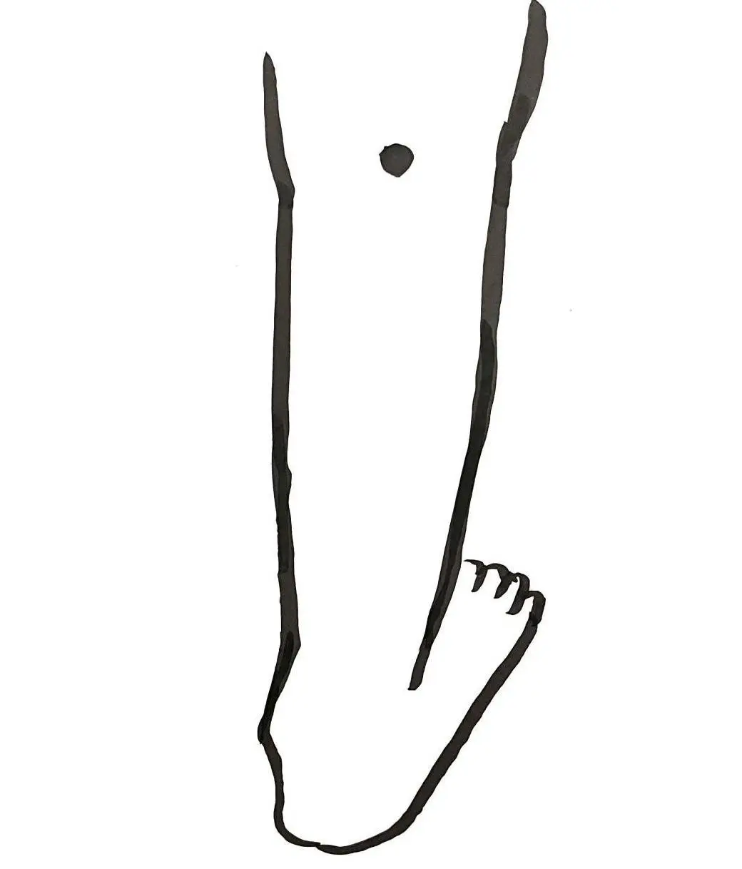 OurAge×Webエクラ