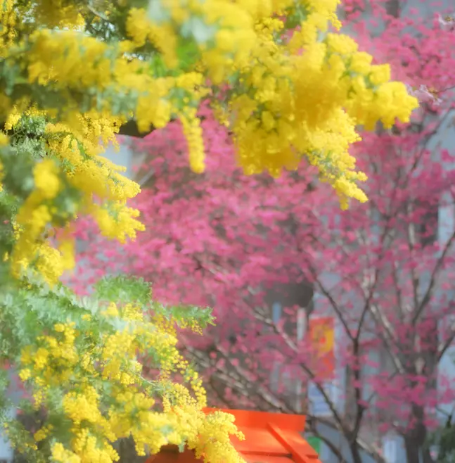 【さかぽんのもぐもぐタイム】チョコレートの画像_2