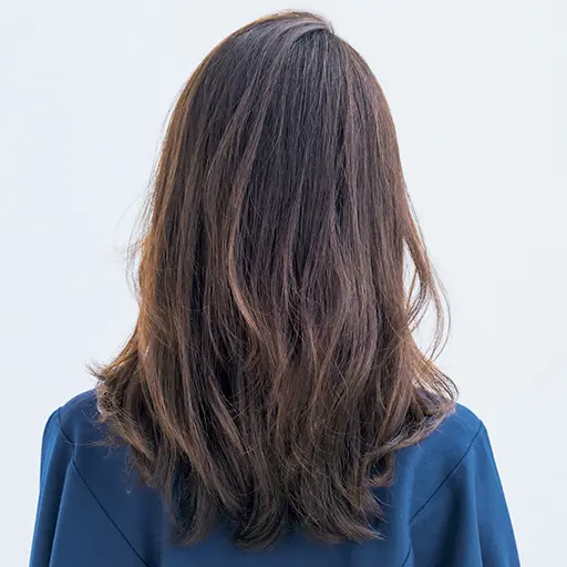 ロングヘア　バック