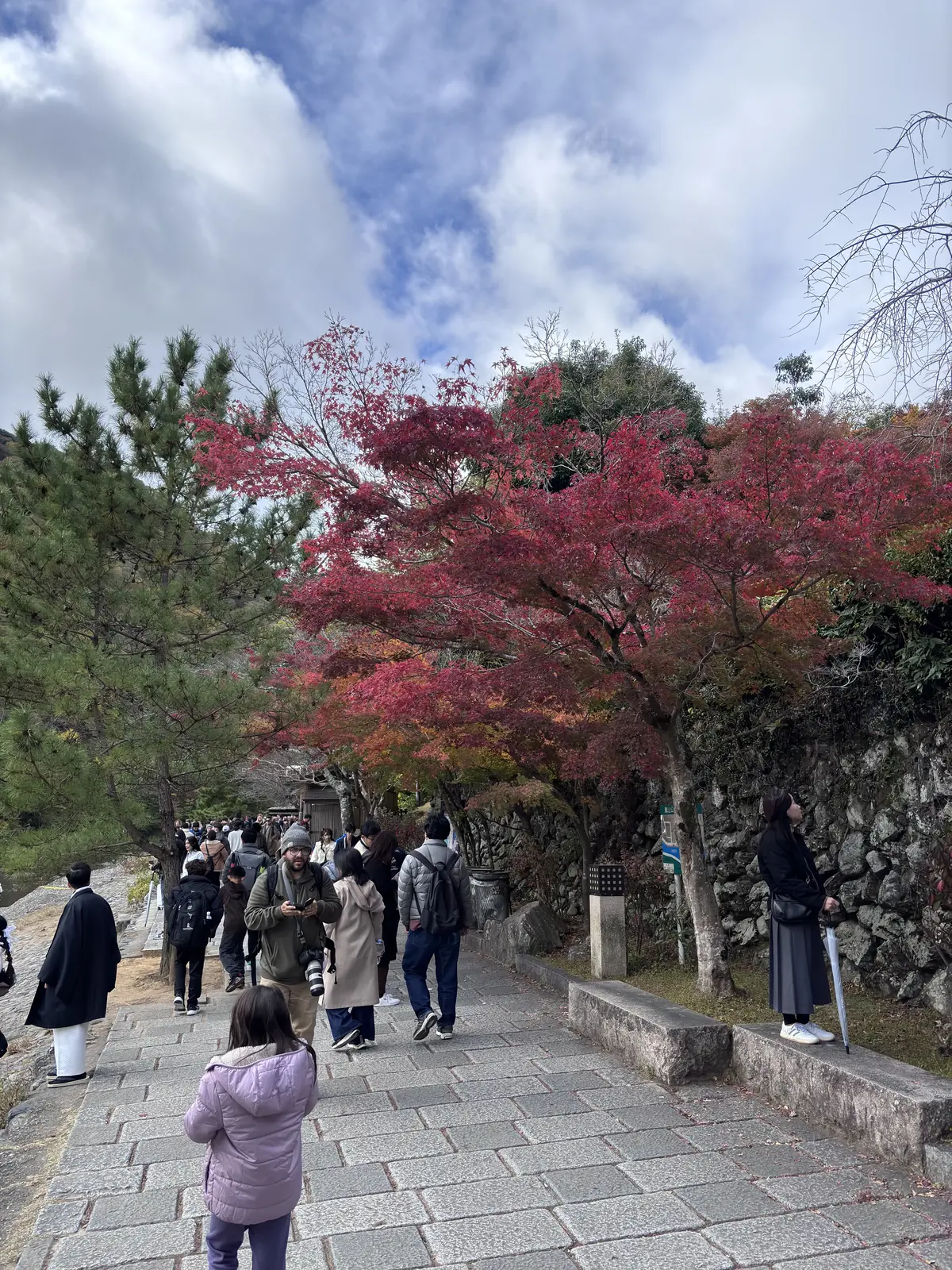 京都　嵐山　祐斎亭