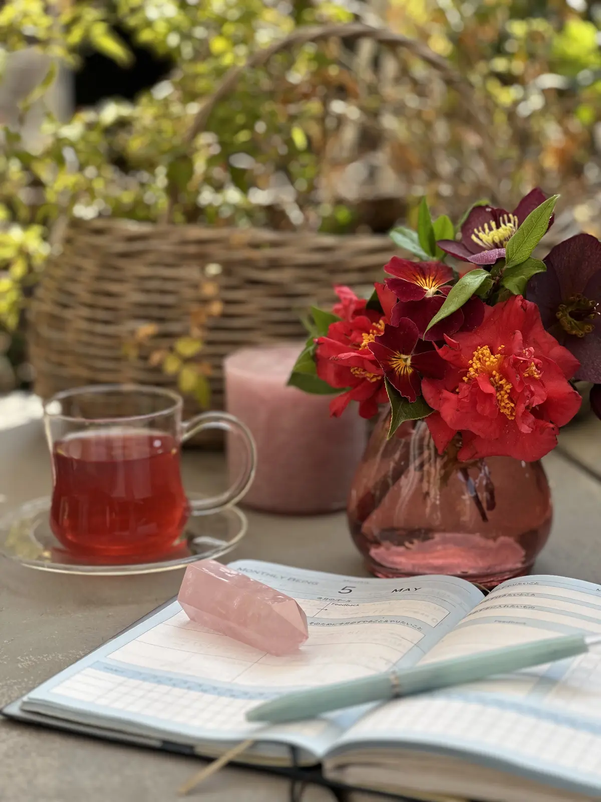 春分あけ、春の陽気に包まれて・・・の画像_6