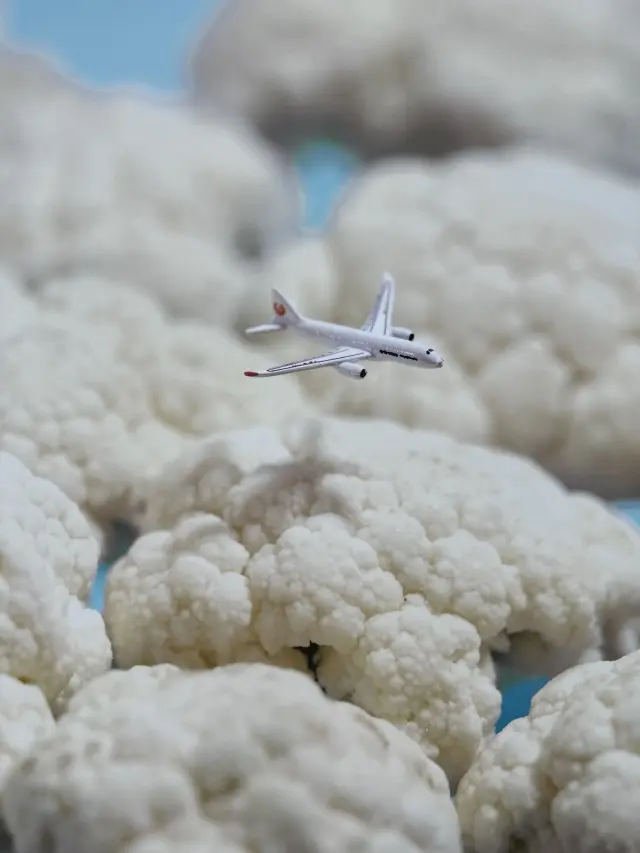 神戸空港からお届け！の画像_9