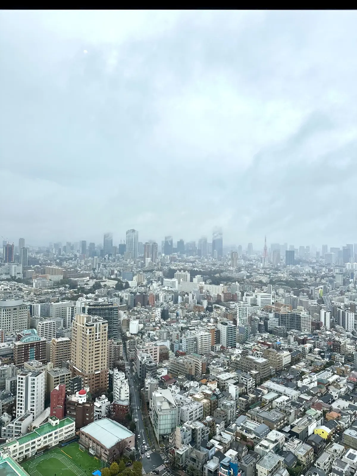 新年会ランチへは明るいNATURALカラの画像_30