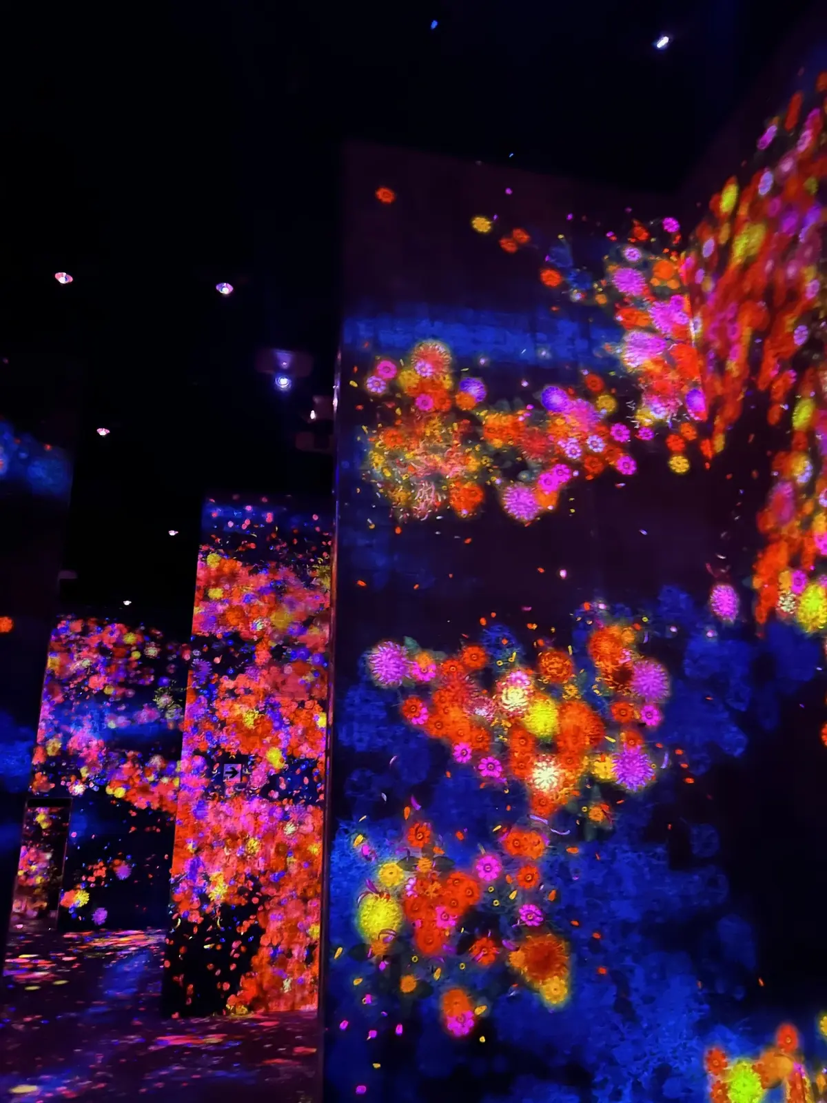 展示会　 ”エプソン チームラボボーダーレス”