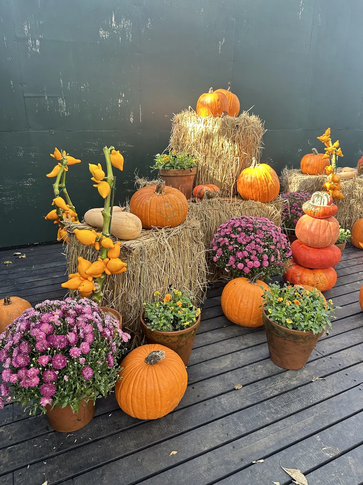 【ニコライバーグマン箱根ガーデンズ】大自の画像_13