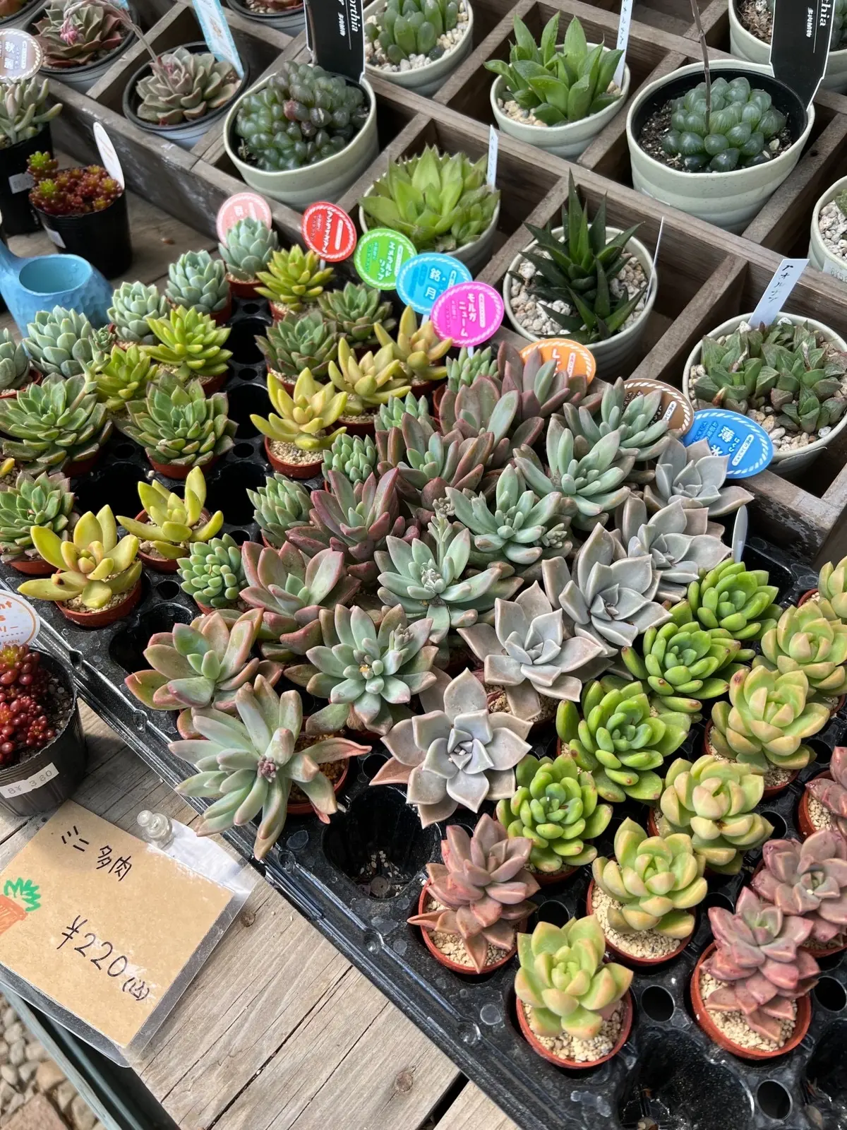 コピスガーデン