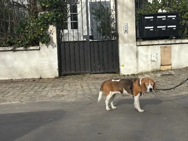 誰も不可能なことをする義務はなし