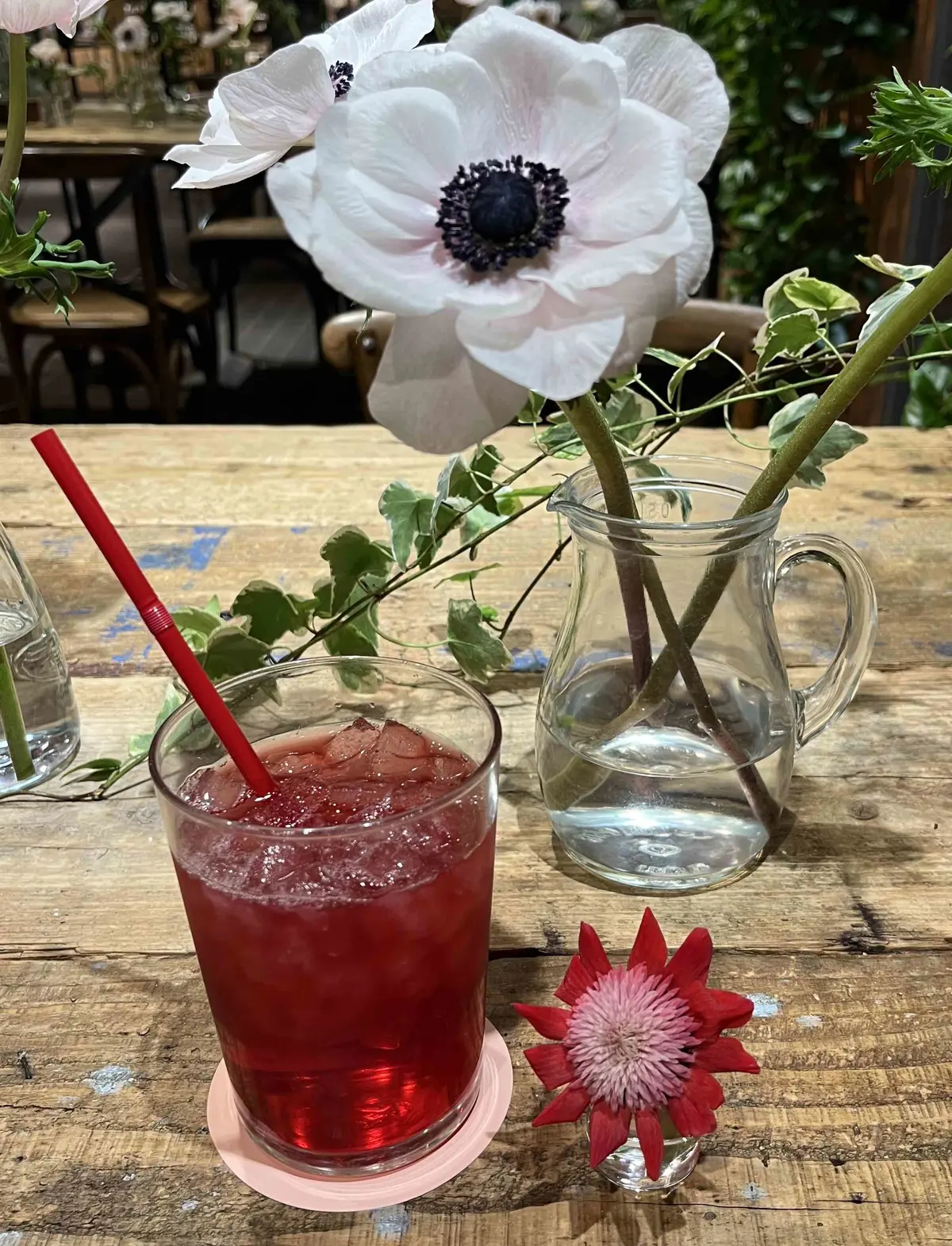 吉祥寺で花活♬の画像_4