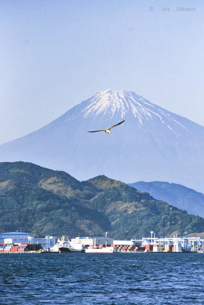 続編【さかぽんの大冒険】三色マグロ丼wiの画像_3