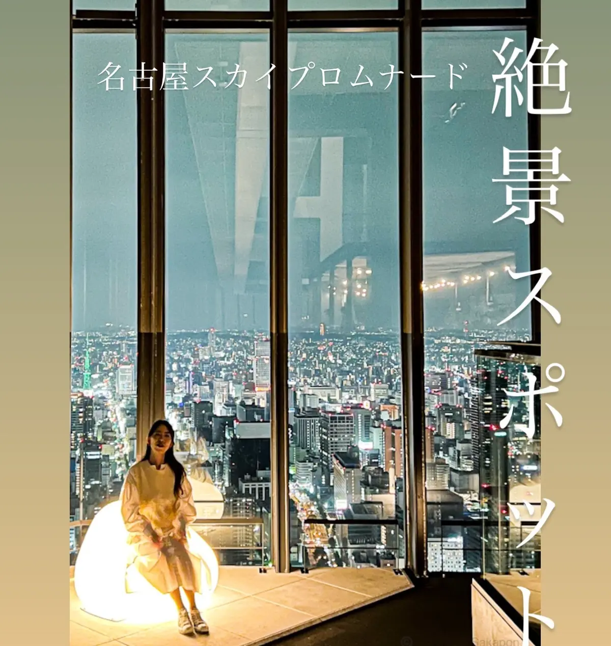 【絶景ハンターさかぽん】名古屋シャチホコの画像_6