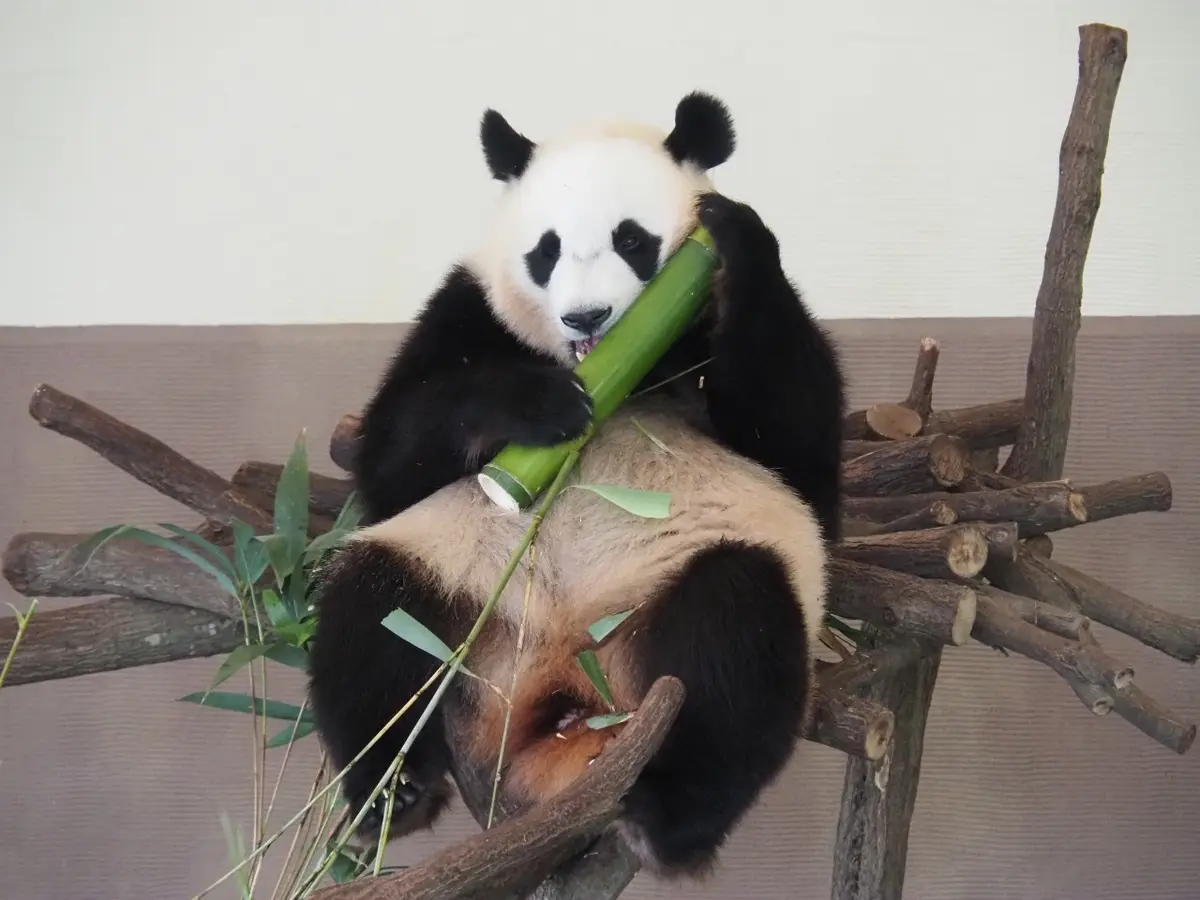初めての和歌山県!!紀南方面へ2人旅♡～の画像_3