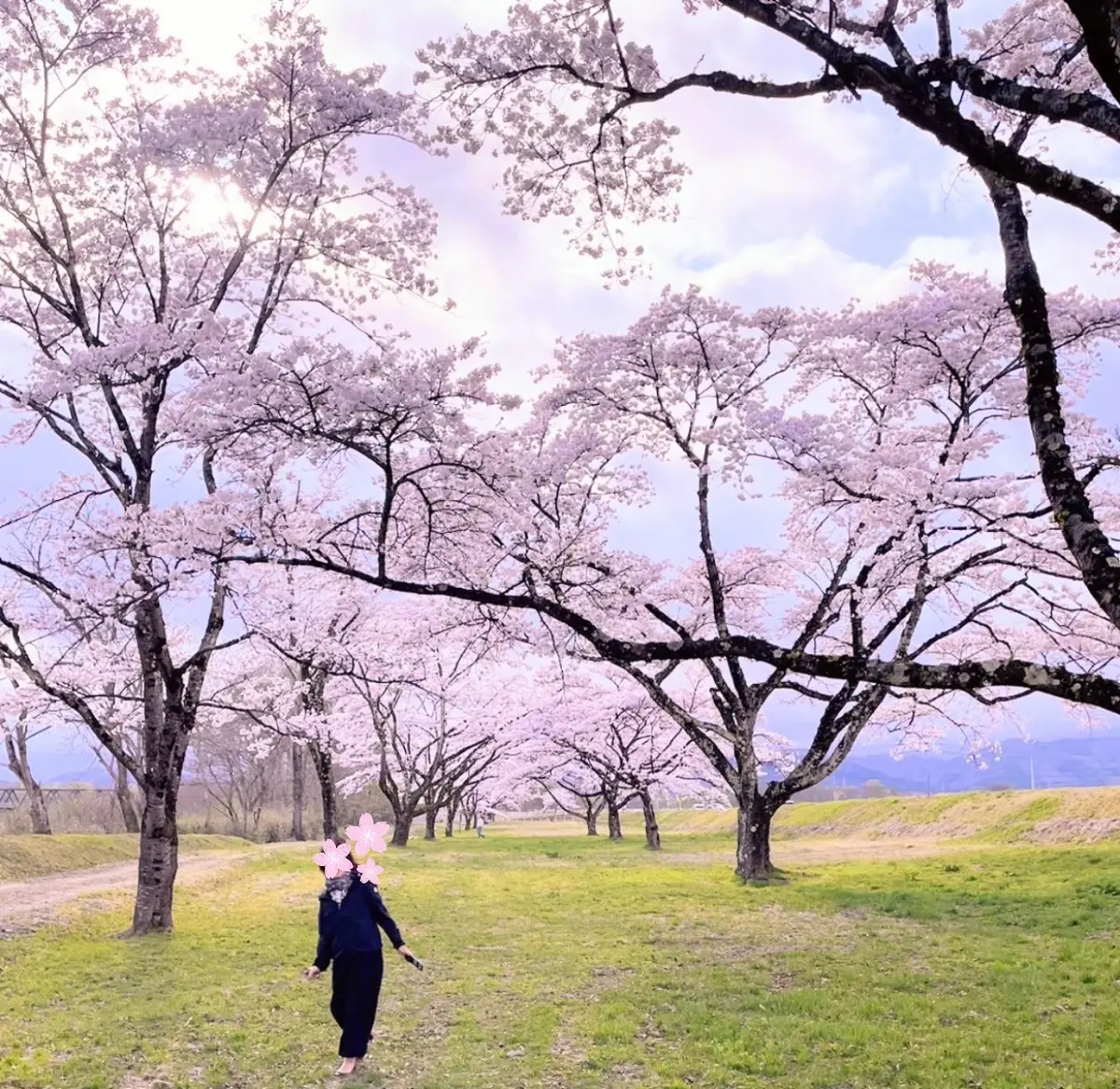 秋田と言えば・・・比内地鶏🐓の画像_11