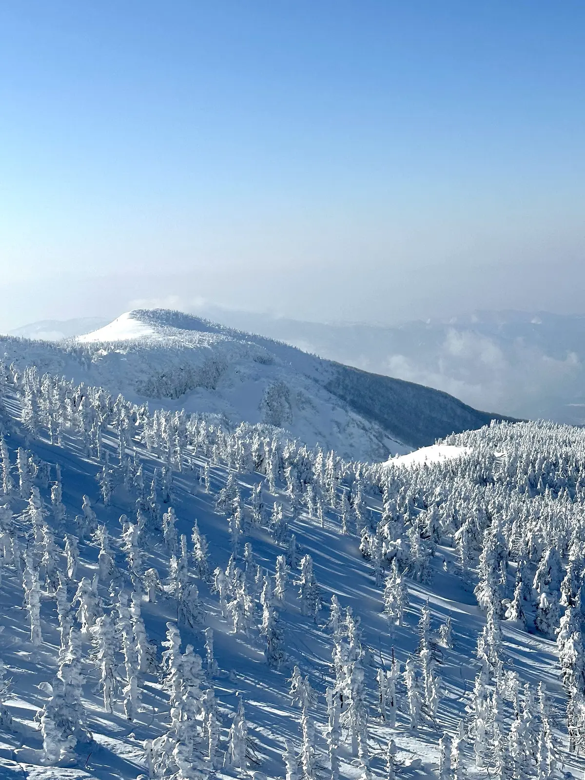 樹氷と美肌の湯を楽しむ♡山形県蔵王への旅の画像_41