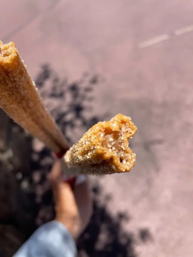 ここ最近のディズニーランドの画像_10