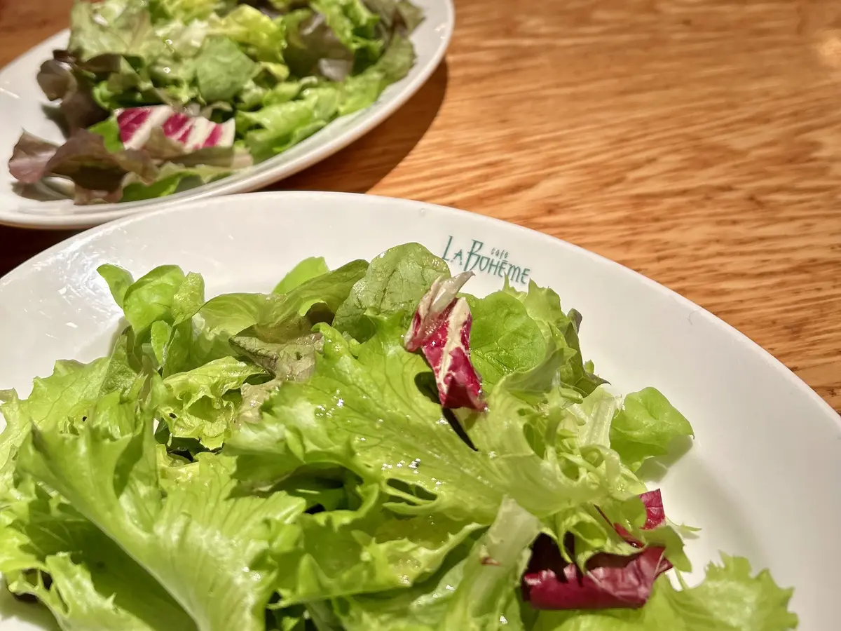 新春はエコファーダウンで横浜山下公園への画像_5