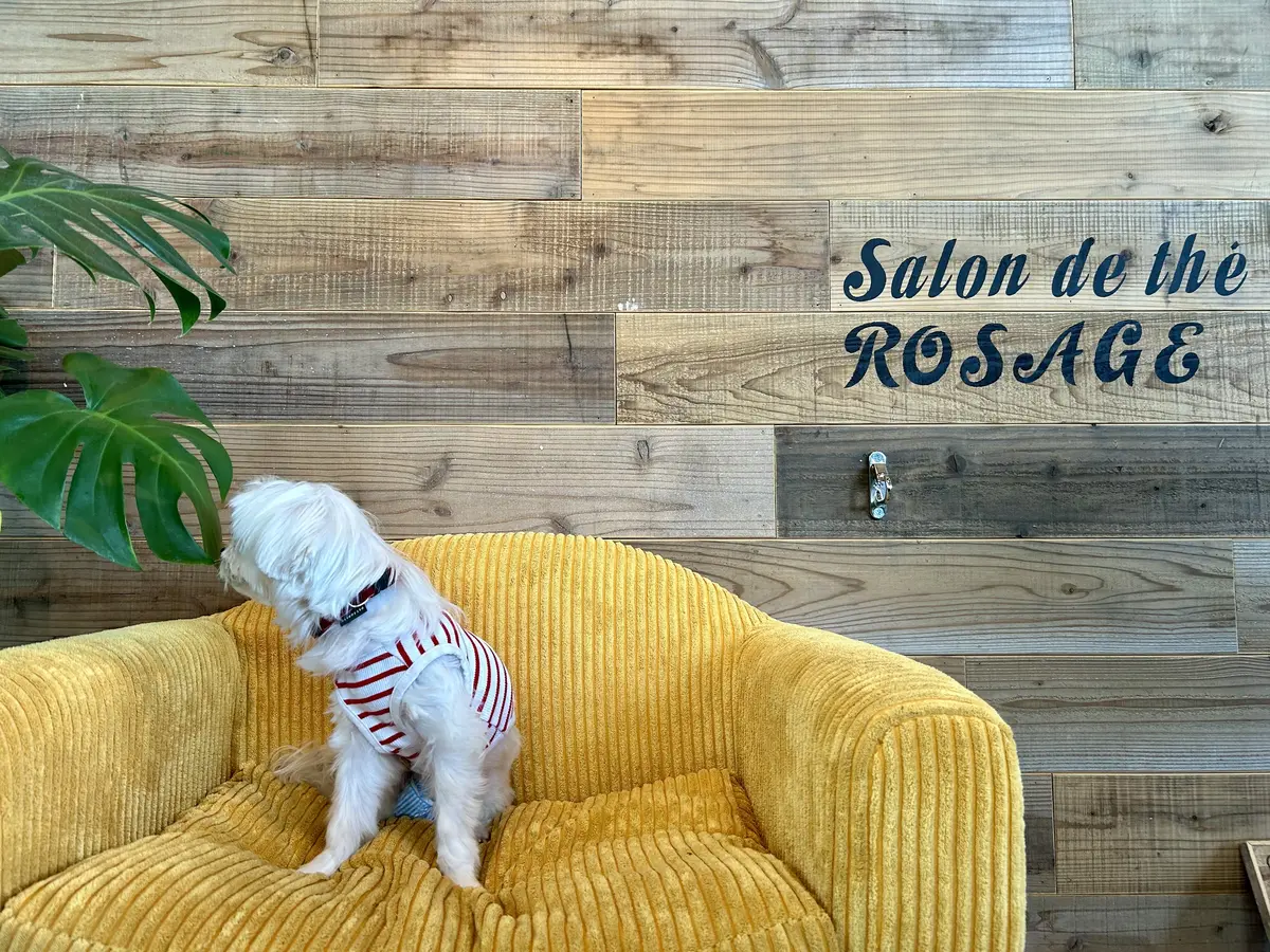 生まれ変わった山のホテル別館へ♪の画像_7