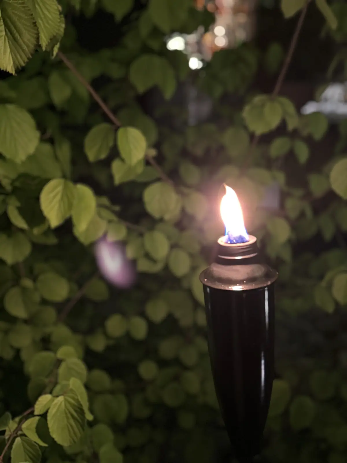 軽井沢の森に溶け込む、「ふふ軽井沢　静養の画像_8