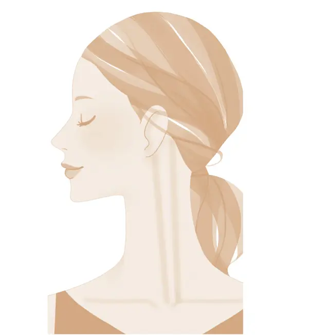 これが胸鎖乳突筋！