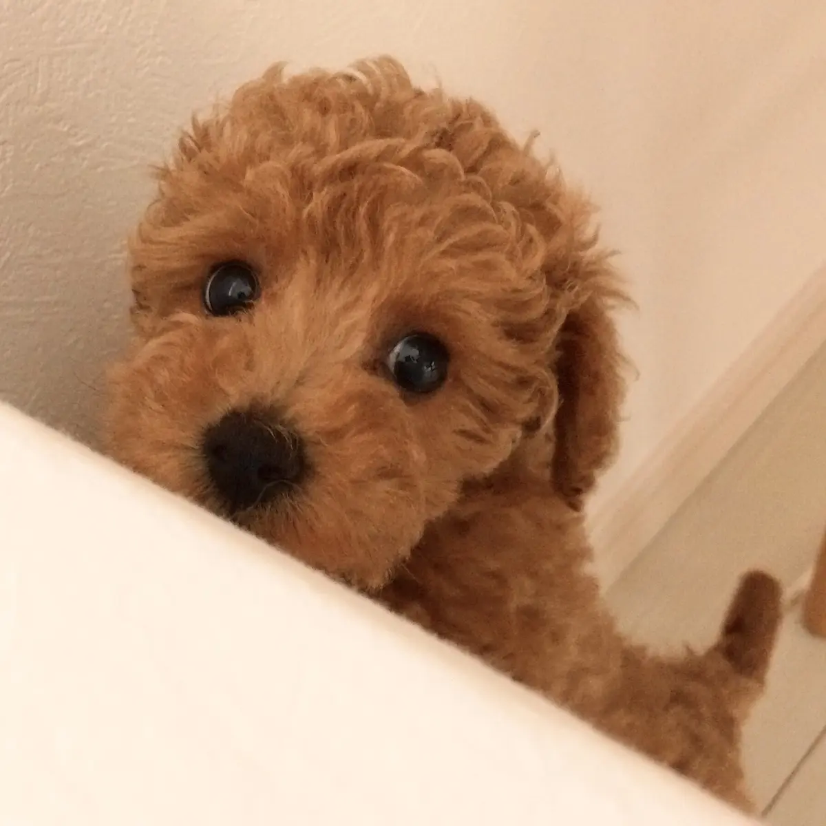 食いしん坊も大満足♥ Happyなバースの画像_2