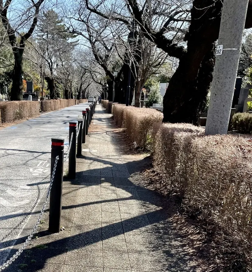 久しぶりに外のランニングをしてきました！の画像_1