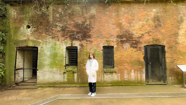 【さかぽんの冒険】前編☆無人島で奇跡のラの画像_22