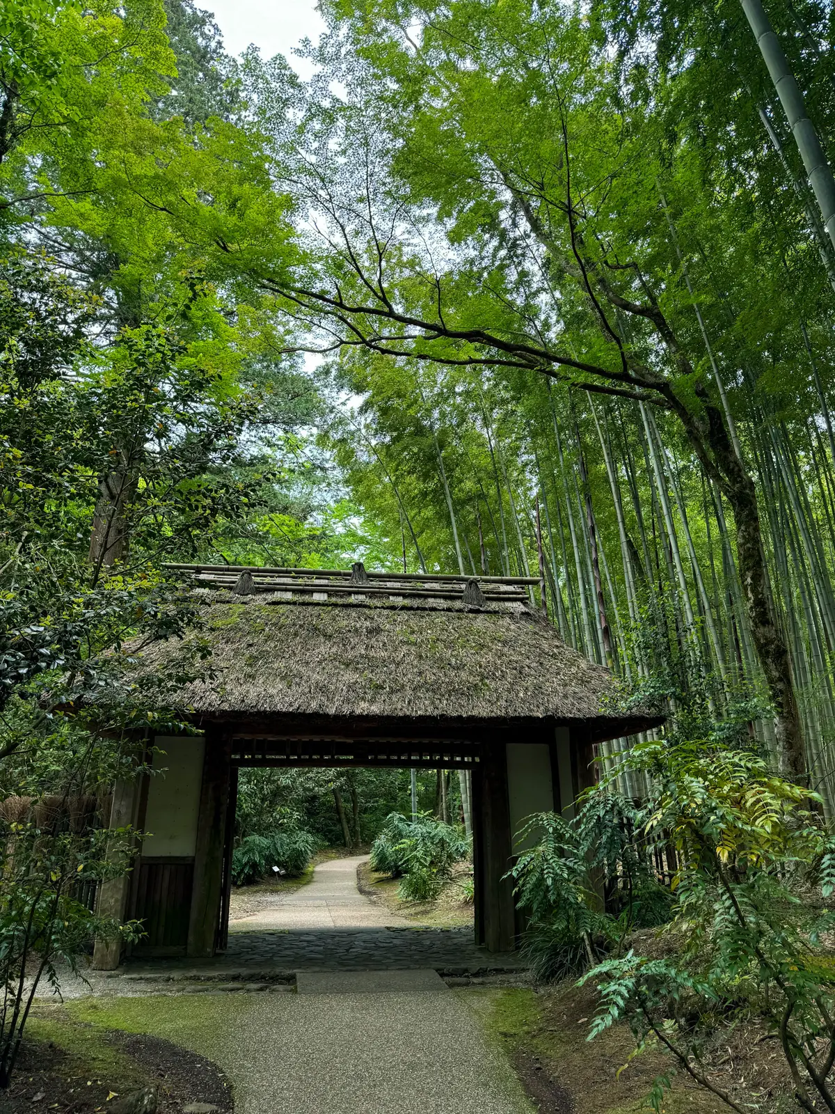 箱根⭐︎心を満たす大人女子4人旅の画像_19
