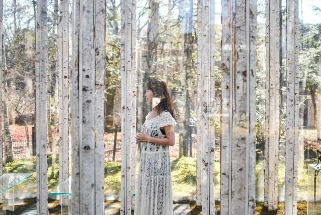 【さかぽんの冒険】風通る白樺と苔の森@軽の画像_4