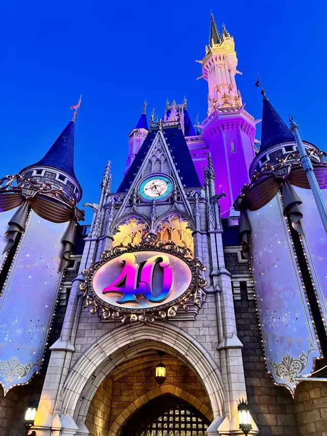 夜のシンデレラ城