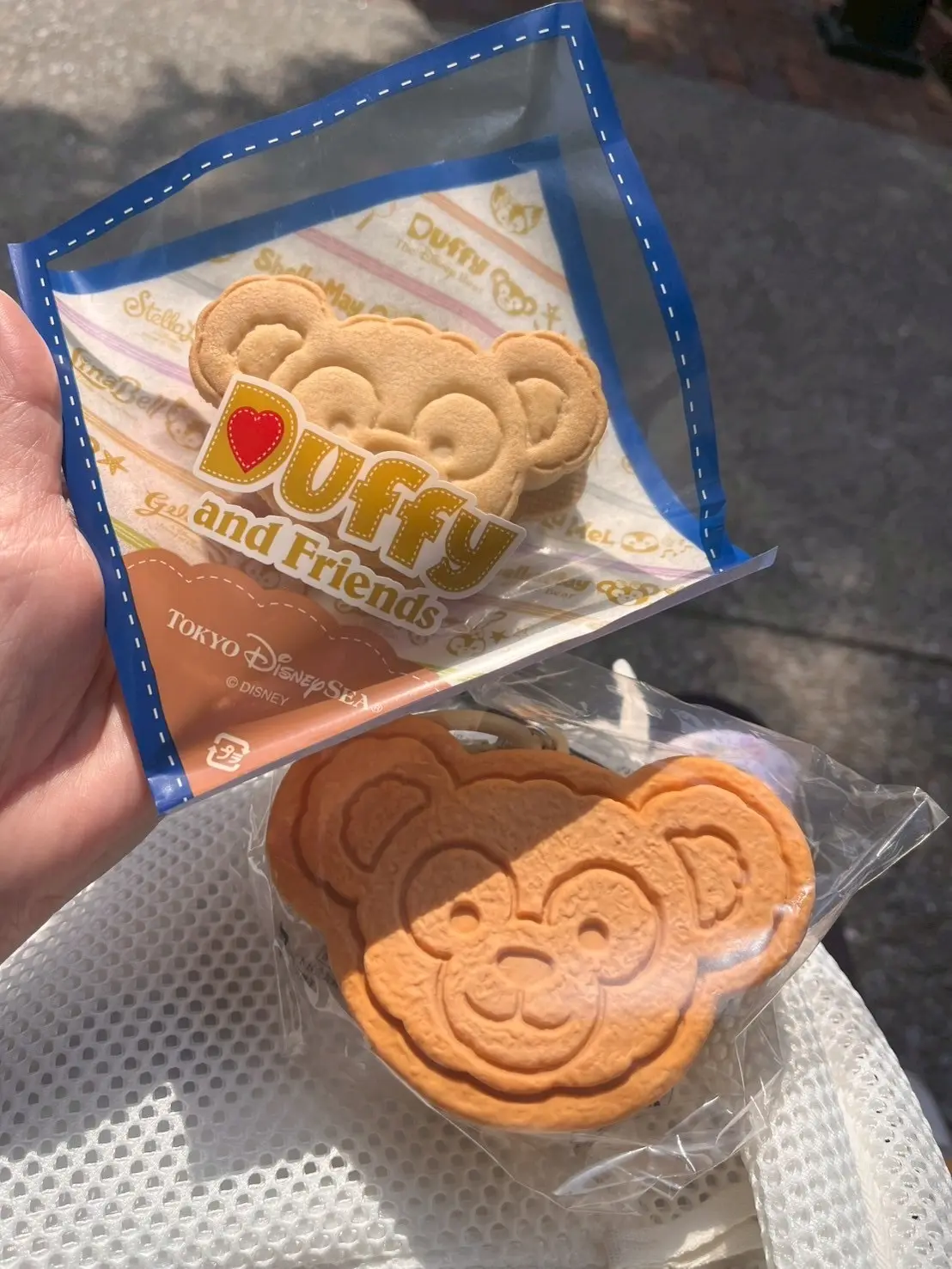 春のディズニーシーへの画像_5