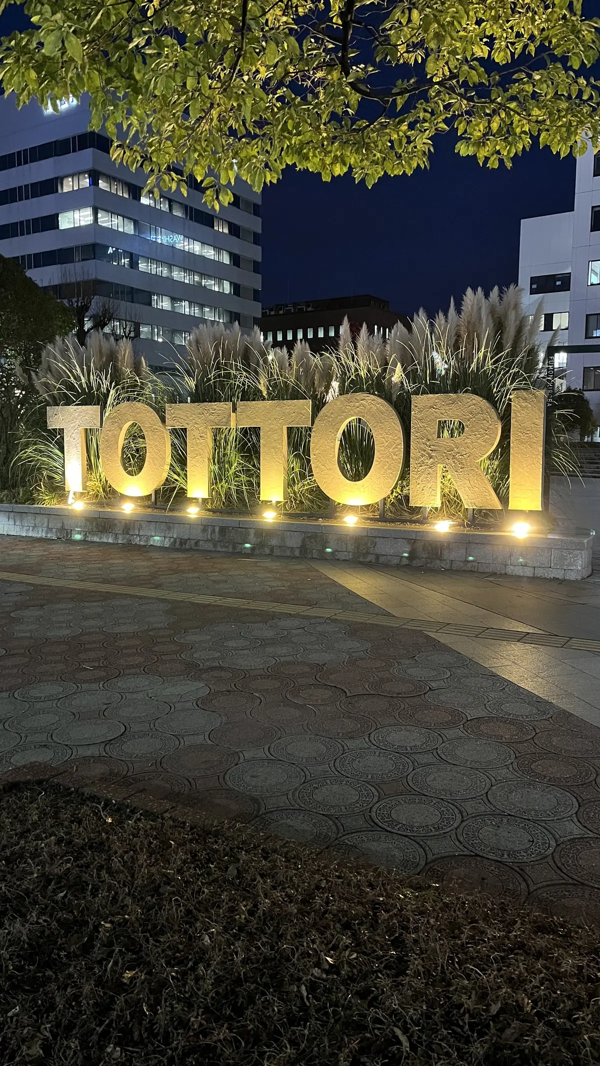 鳥取に行ってきた！お土産とともにご紹介。の画像_4